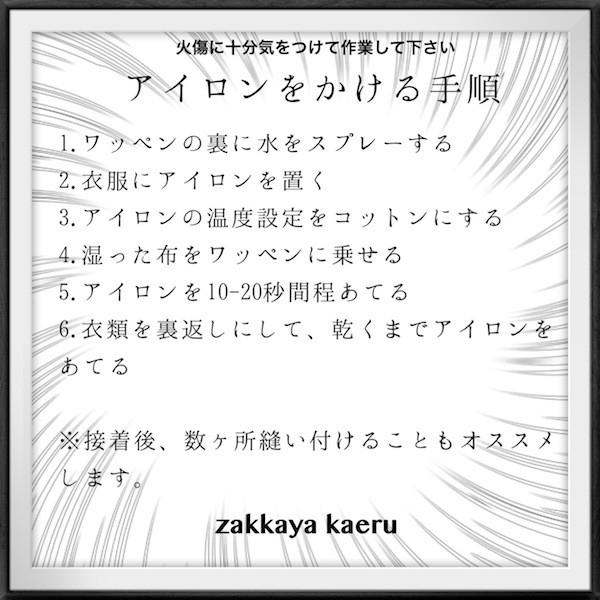 アイロン de ワッペン☆アップリケ フラダンス 落花生 ピザ 刺繍 ワッペンデコ リメイク 手作り ハンドメイド | 6枚目